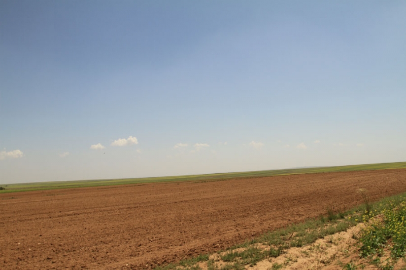 綠(lǜ)色土地(dì)