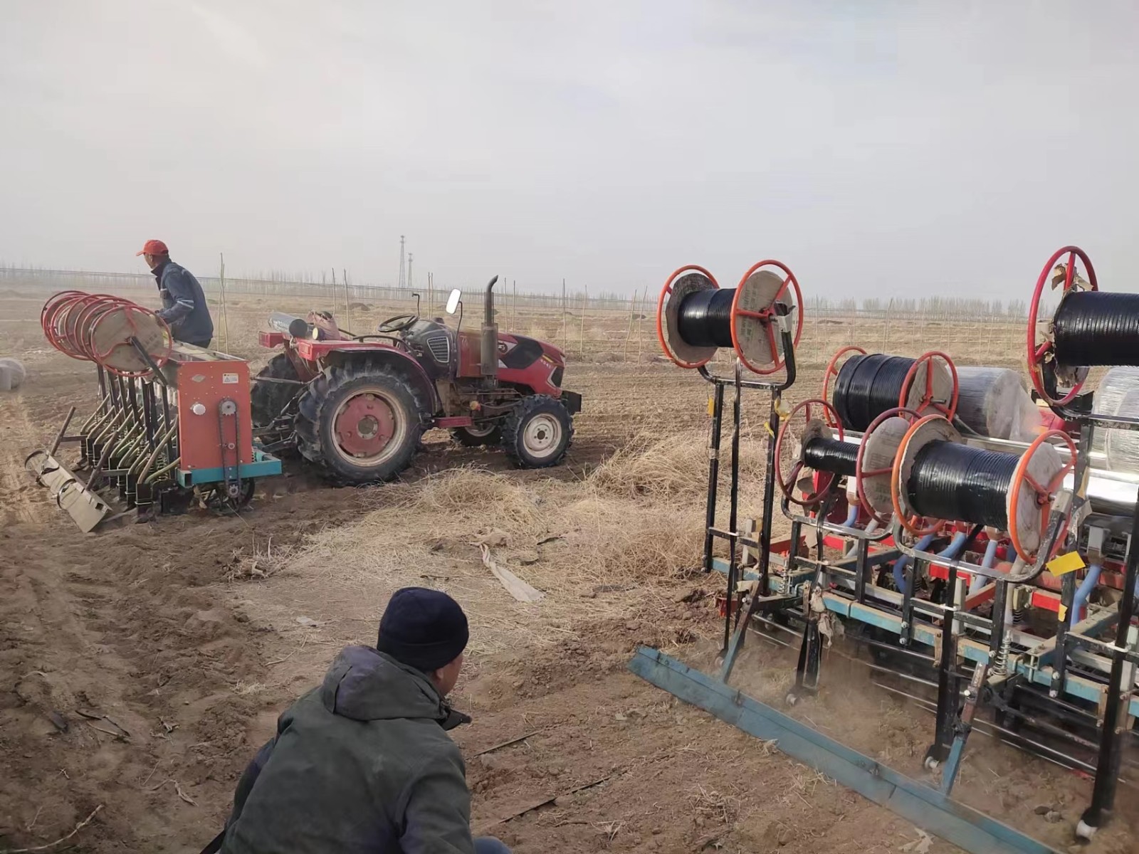 2023年(nián)小麥播種