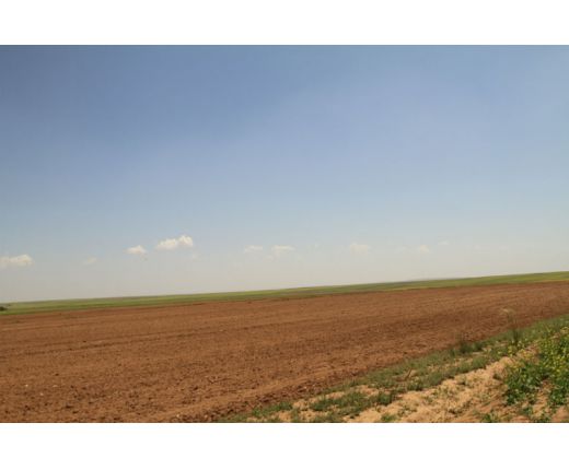 綠(lǜ)色土地(dì)