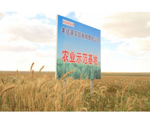 豐達源基地(dì)1