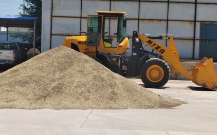 2023年(nián)收割的(de)基地(dì)小麥晾曬，确保小麥的(de)質量