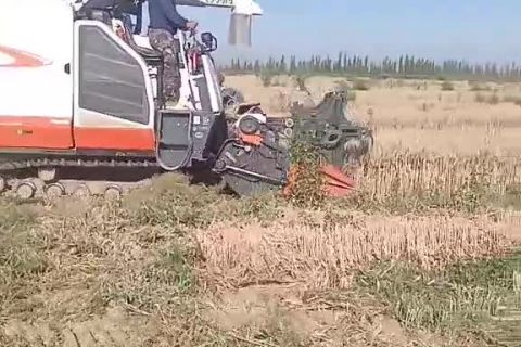 2022年(nián)豐達源小麥基地(dì)收割中