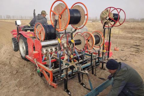 2023年(nián)小麥播種