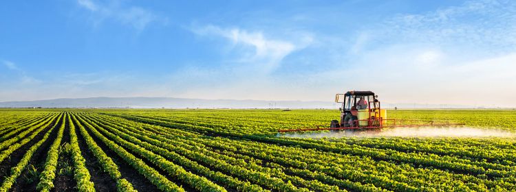 有(yǒu)機(jī)肥産品